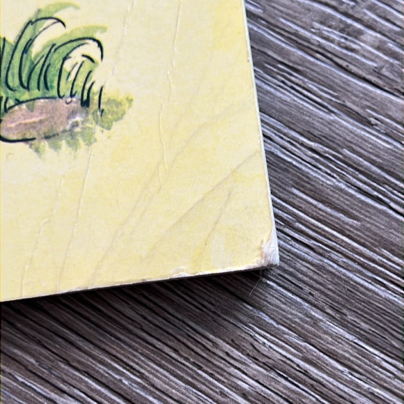 VINTAGE golden book, Little Toad to the Rescue, a kids paperback 1970’s - Picture 8 of 17